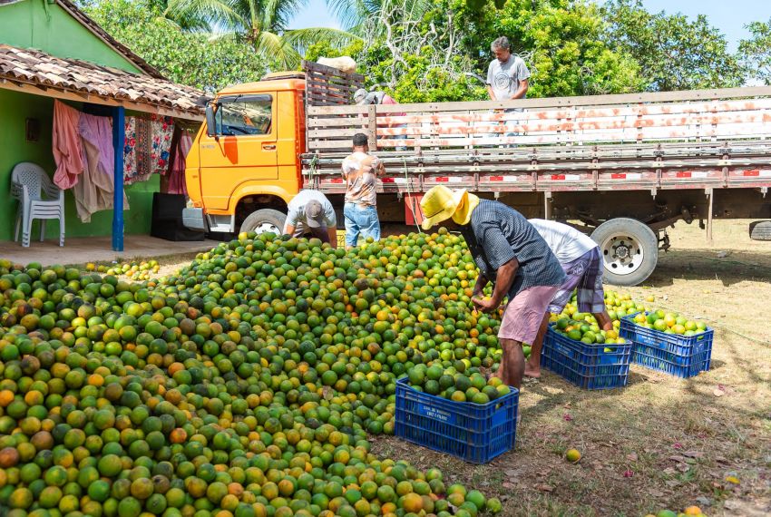 Sergipe se destaca como 2º maior fornecedor de laranja para Ceasas