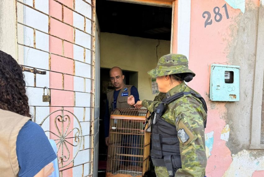 Operação apreende aves silvestres criadas irregularmente em Aracaju