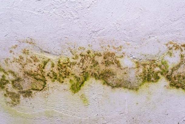 Como prevenir problemas comuns no outono dentro de casa