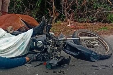Motociclista morre após colidir com cavalo na rodovia SE-204, em Sergipe